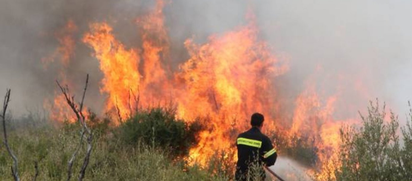 Υπό έλεγχο η φωτιά σε δασική έκταση στην περιοχή Αγριοβότανο Ιστιαίας στην Εύβοια (upd)